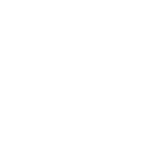website icon white