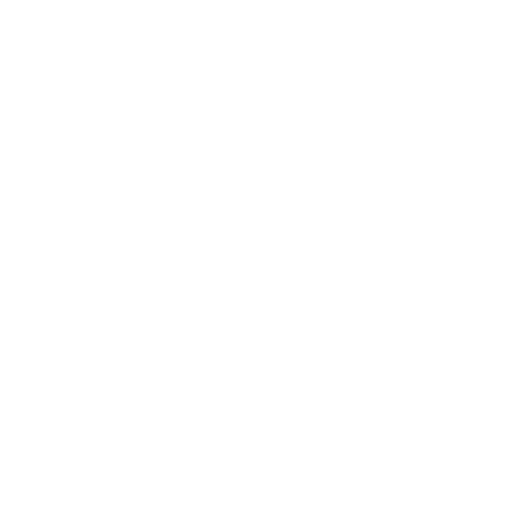 user icon white